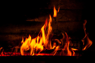 firewood burning fire on a black background
