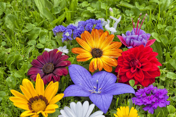 Group of assorted flowers on the grass.