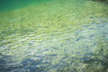 Plitvice lakes