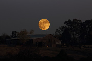 Tennessee moon