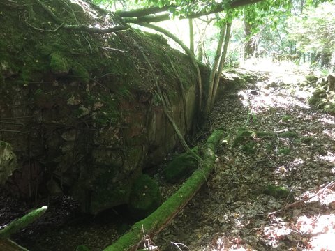 Alter Westwall Bunker bei Pirmasens