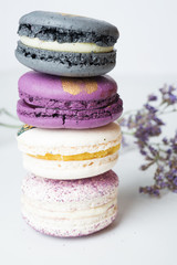 colorful macaroon cakes  against white background