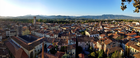 Lucca panoramic view, Tuscany, Italy