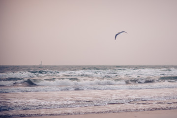 lighthouse and sea