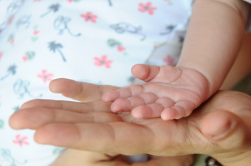 Obraz na płótnie Canvas Mother holding hand of her newborn baby 