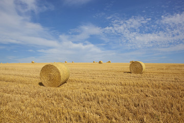 golden straw bales