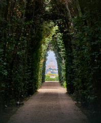 View of the vatican through a tree path