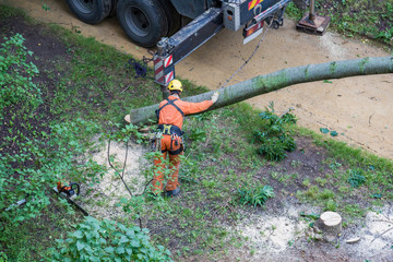A man in a uniform rescues the consequences of a devastating hurricane
