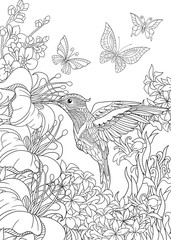 Coloring page of hummingbird, butterflies and hibiscus flowers. Freehand sketch drawing for adult antistress coloring book in zentangle style.