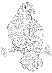 Coloring page of dove (pigeon) bird sitting on tree branch. Freehand sketch drawing for adult antistress coloring book in zentangle style.