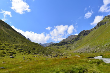 Fototapeta na wymiar Rifflbach im Riffltal im Kaunergrat/Ötztaler Alpen 