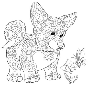 Coloring page of welsh corgi dog and butterfly on a flower. Freehand sketch drawing for adult antistress coloring book in zentangle style.