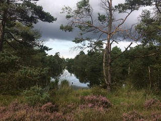 Pietzmoor mit Gewitterwolken