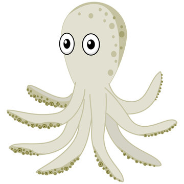 Cute cartoon sea octopus with eyes vector clipart