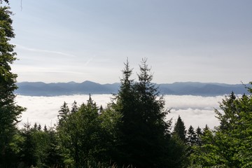 View from mountains with cloudy inversion below. Slovakia