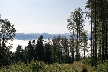 View from mountains with cloudy inversion below. Slovakia