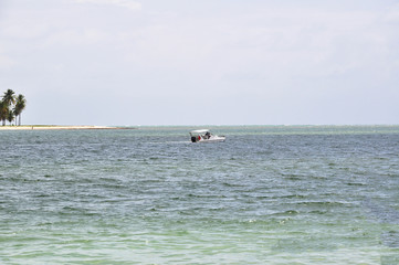 Praia dos Carneiros em Pernambuco.