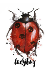 Watercolor drawing of an insect ladybird in a heluin theme with black skulls on the back with splashes on a white background, horror story, predominantly red and black, print, decor