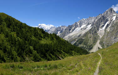 Fototapeta premium Mountain path overlooking Mont Blanc. Tour du Mont Blanc