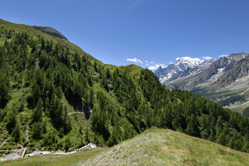 Fototapeta premium Mountain path overlooking Mont Blanc. Tour du Mont Blanc