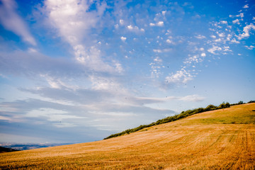 Obraz premium Coucher de soleil sur la campagne dans le Parc Naturel Régional du Pilat