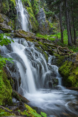 Fototapeta na wymiar Deep forest waterfalls taken with slow shutter for blur.