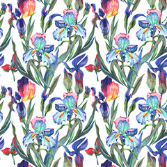 Wildflower  iris flower pattern in a watercolor style. Full name of the plant:  iris flower. Aquarelle wild flower for background, texture, wrapper pattern, frame or border.