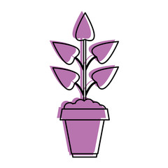 potted plant icon image vector illustration design  purple color