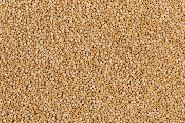 Quinoa seeds close up