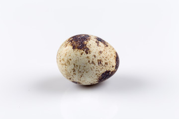 One quail egg