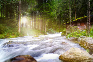 Sonne scheint auf Holzhütte im Wald an einem Fluss