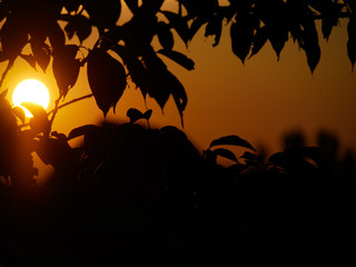 Schatten in der Sonne