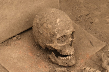 Dusty human skull