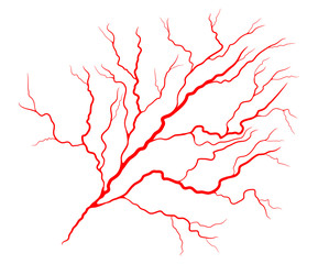 Fototapeta na wymiar eye vein vector symbol icon design. Beautiful illustration isolated on white background