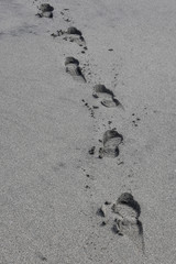 Footprints
