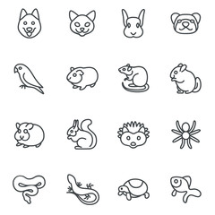 The most popular pets as line icons / There are typical pets like dog, cat, ferret and bird   © ksenashurubura