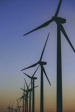 Windmill turbines generating energy