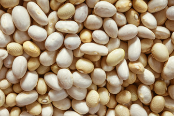 Dry white beans close-up