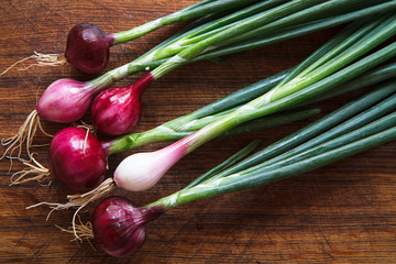 Green onion II