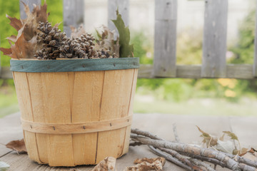 Bushel filled with autumn pine cones and oak leaves