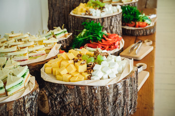 Outside Catering buffet table with a delicious food for guests of the event in rustic style. Service at business meeting, party, weddings. Selective focus, space for text
