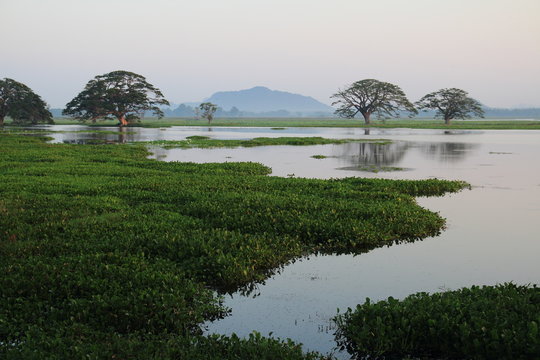 Tissa Lake - Tissamaharama