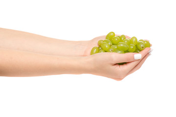 Female hands with grape bunches
