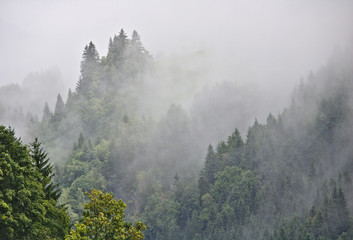 Misty wooded valley in the Austrian Alps with half visible peak in the background