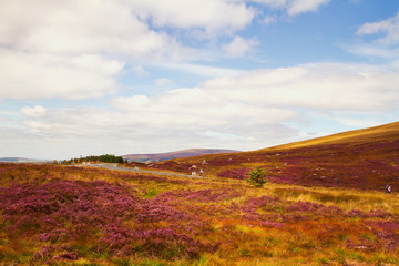 Beautiful scenic mountain landscape.  Wicklow Mountains National Park, County Wicklow, Ireland