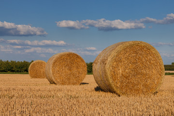 Straw bales on a stubble field on a sunny afternoon in summer