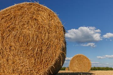 Straw bales on a stubble field on a sunny afternoon in summer