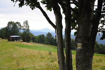 Mountains Tatra landscape with green forest, blue clouds and meadow