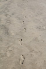 White sand beach of Broadbeach Gold Coast in Queensland, Australia 