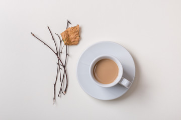 Isolated cup of coffee on saucer with autumn rustic branches and dry yellow leaf on white...